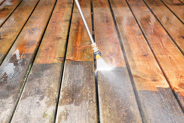 Animal Enclosure Cleaning in Cheney, WA